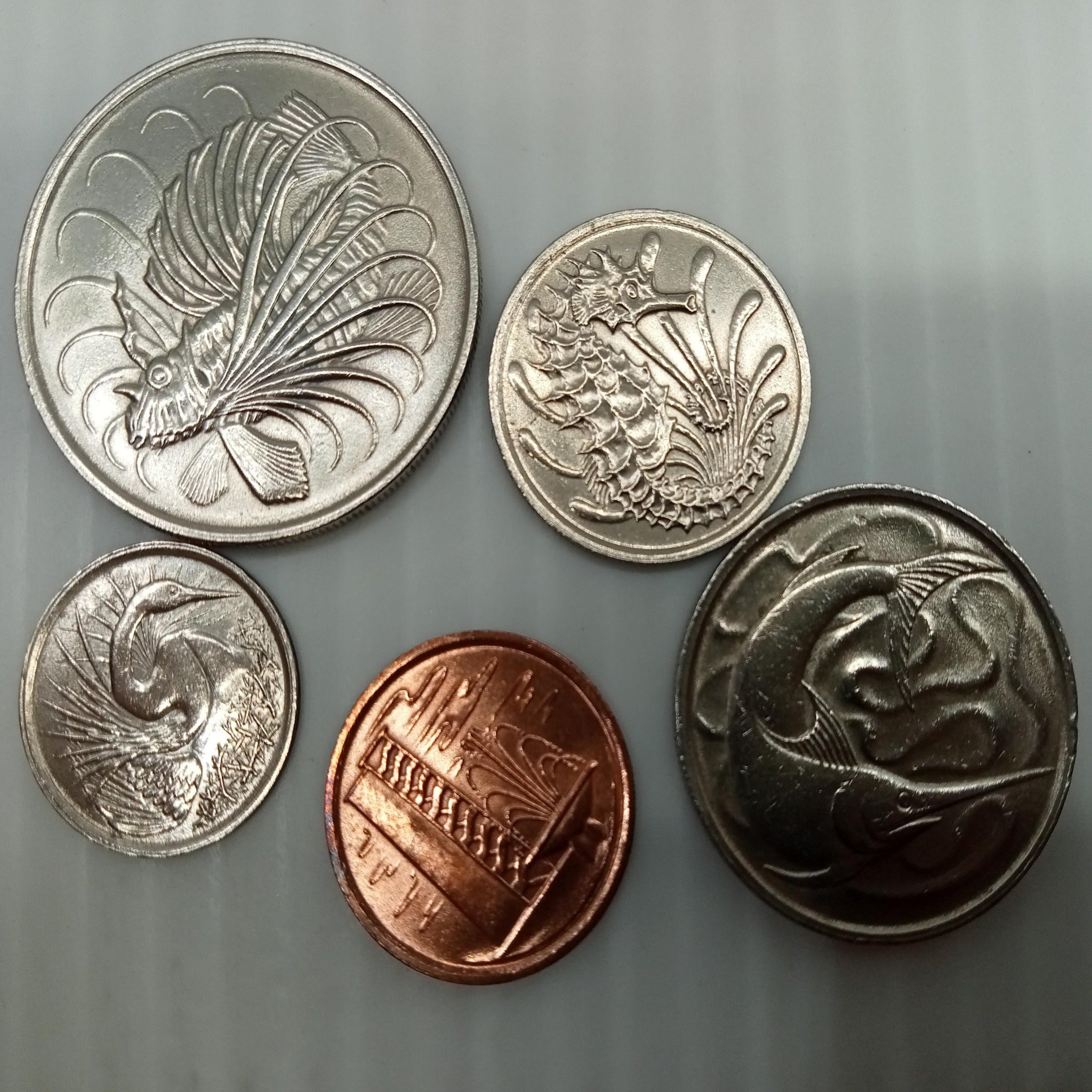 Singapore Fish Coin Series 1980 Collectible Vintage Currency Coin –  Altimate Group