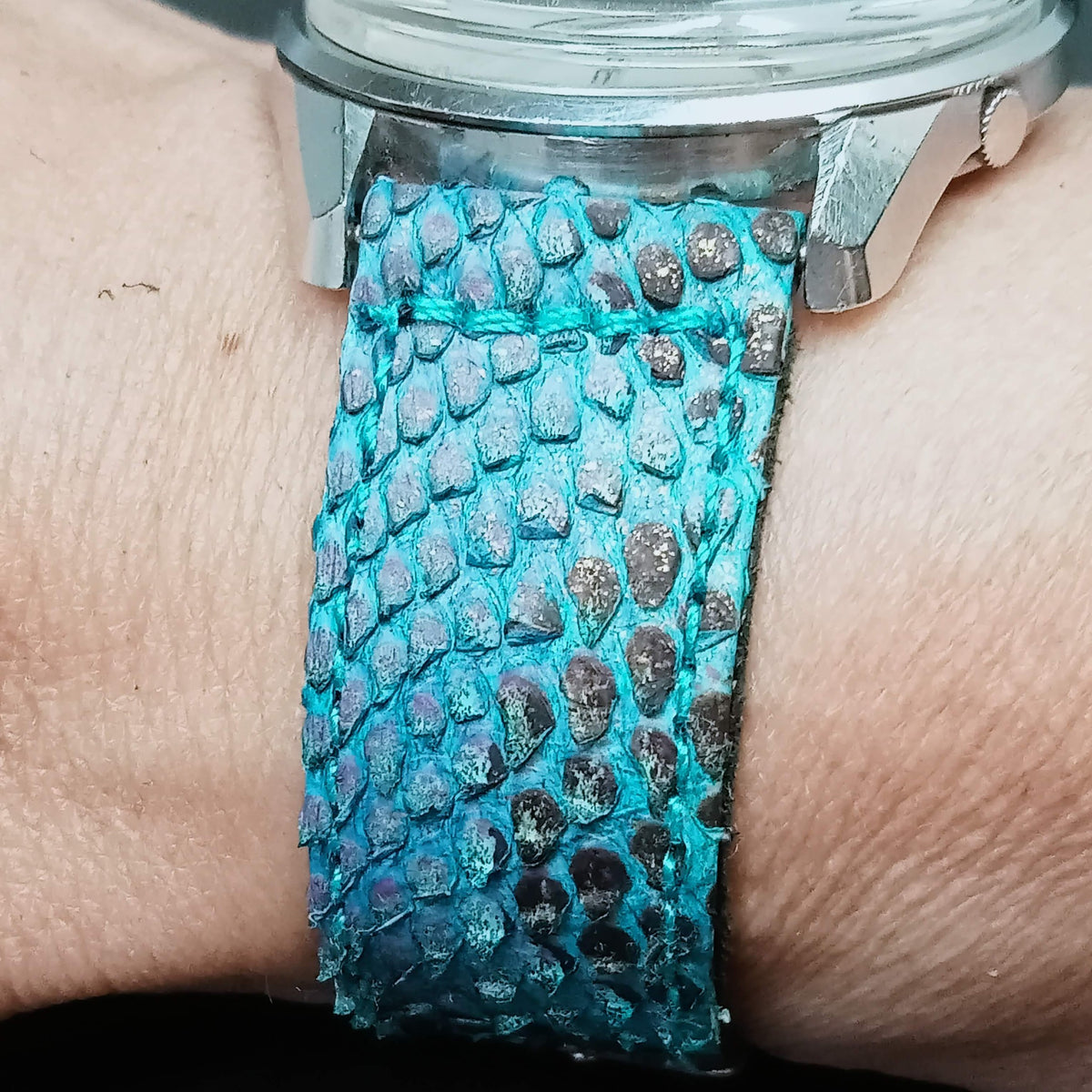 Hi-Quality CITES Approved Genuine Python Leather Strap Sizes 18, 20, 2 ...