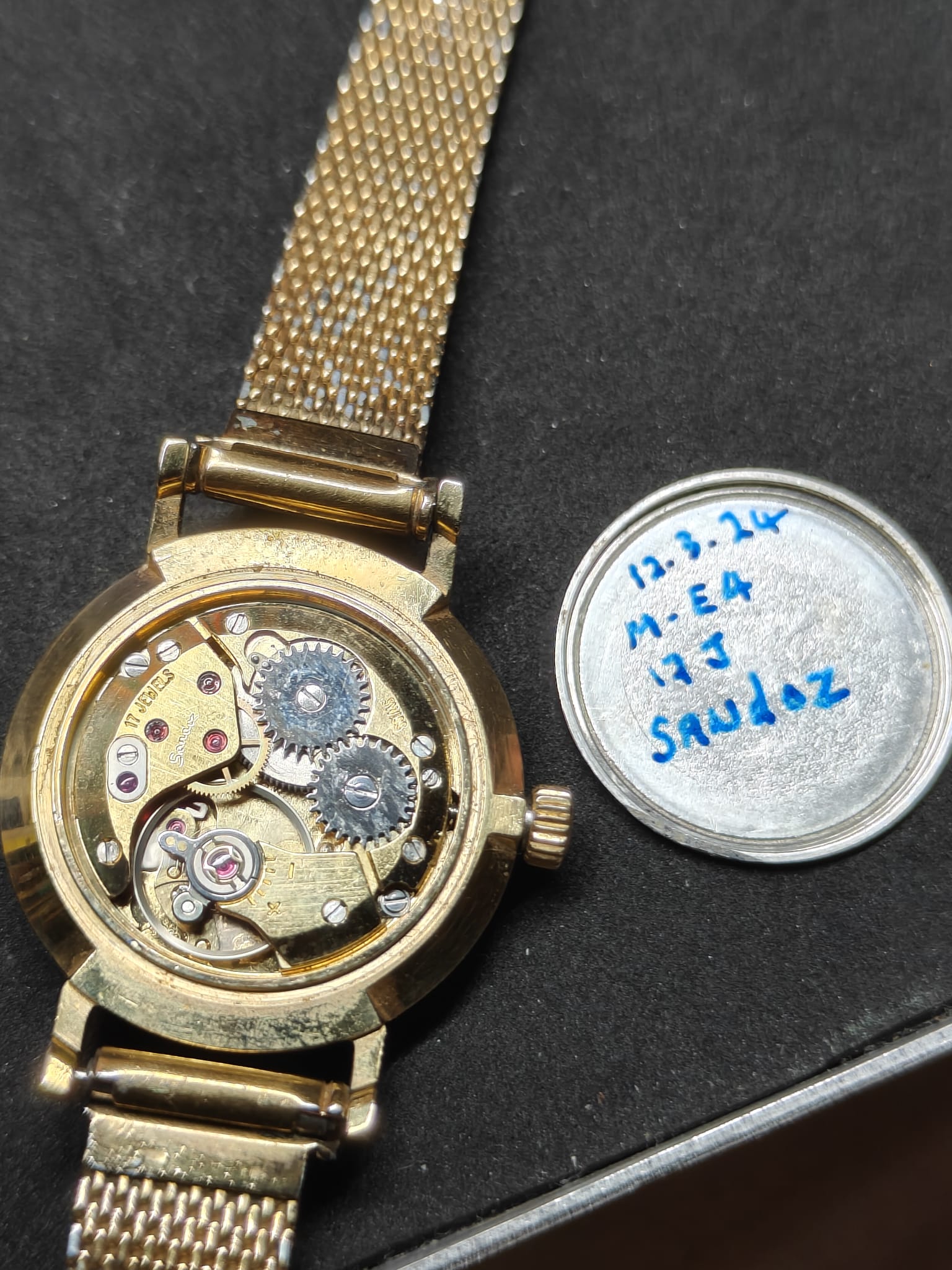 Sandoz Lady Incabloc 369V-13 17J Two Tone Champagne Dial Mechanical Wa ...